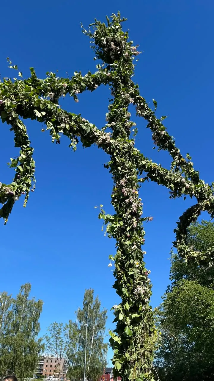 Midsommarstången klädd i löv och blommor mot en klarblå himmel